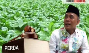 Perda Tembakau Hanya Menguntungkan Pengusaha, Anggota Komisi II DPRD Sumenep Minta Revisi