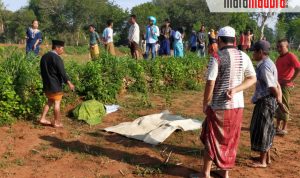 Warga Ganding Penasaran Cium AromaTak Sedap, Ternyata Ada Mayat Tergeletak