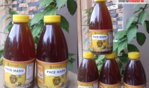 Minuman Pace Hasil Fermentasi Sembuhkan Penyakit Kronis, Silahkan Coba