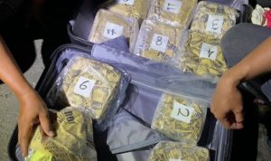 Polisi Tembak Mati Pemasok Narkoba Jawa-Madura