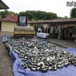 Ribuan Botol Miras Hasil Cipkon Pilkada 2020 Dimusnahkan Polres Sumenep