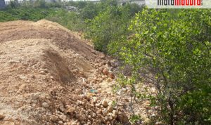 Reklamasi Pantai Rusak Ekosistem Tanaman Mangrove, Pemkab Sampang Hanya Bisa Diam
