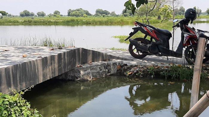 Jembatan Ukuran 4x4 Seharga Rp 200 Juta