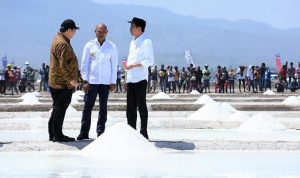 Wacana Swasembada Garam; Impor Garam Masih Berlangsung di Tengah Seruan Jokowi Benci Produk Asing