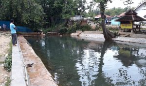 Legenda Mata Air Omben Sampang, Tongkat Joko Tole yang Menyemburkan Air