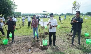 P3L Jatim Tanam Sejuta Pohon di Bangkalan