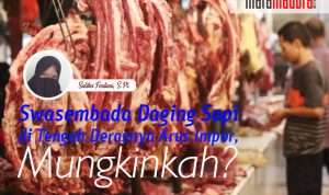 Swasembada Daging Sapi di Tengah Derasnya Arus Impor, Mungkinkah?