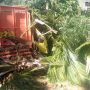 Truk Hantam Pohon Kelapa