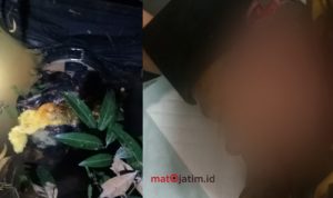 Geger, Korban Pembunuhan Sadis di Kelbung Galis Bangkalan