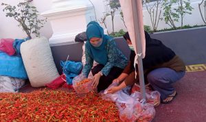 Camat Rubaru Cerita di Balik Aksi Borong Istri Bupati Fauzi