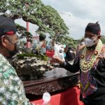 Bupati Achmad Fauzi Buka Pameran dan Kontes Bonsai Nasional 2021