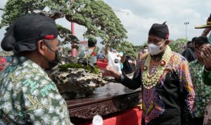 Bupati Achmad Fauzi Buka Pameran dan Kontes Bonsai Nasional 2021