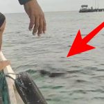 Pamit Mancing, Warga Gayam Ditemukan Meninggal di Dermaga Sapudi