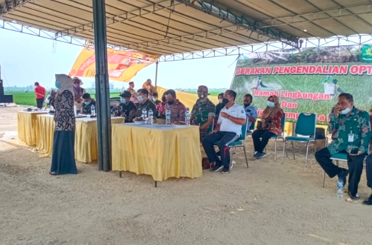Gerakan Pengendalian OPT
