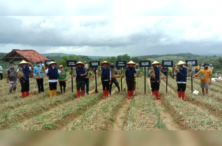 Kata Camat Arif Kawasan Agropolitan Rubaru Punya Kelebihan