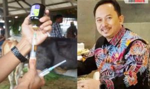 5 Ribu Vaksin Sapi di Sumenep