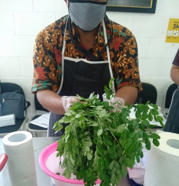 Penelitian Daun Kelor