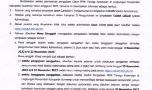610 Pelamar PPPK Kesehatan 2022 Sumenep Diumumkan
