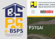 BSPS P3-TGAI