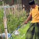 Ecoedufarming
