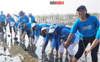 Tanam Mangrove