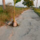 Jalan Rusak