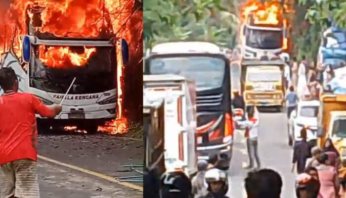Bus Pahala Kencana Terbakar di Bangkalan, Batang Rokok Hangus Berserakan