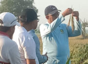 Bupati Sumenep