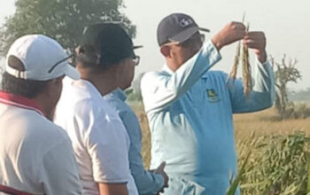 Bupati Sumenep