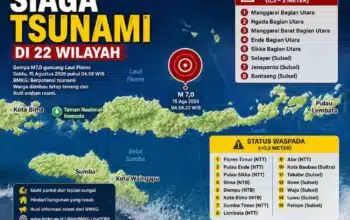 Siaga Tsunami Pasca Gempa M 7,7 Guncang Flores NTT
